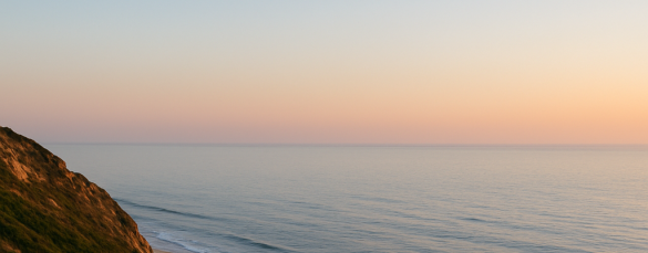 torry pines